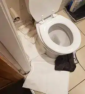 Reinigung eines WC in einem Badezimmer, Fokus auf Hygiene und Sauberkeit.